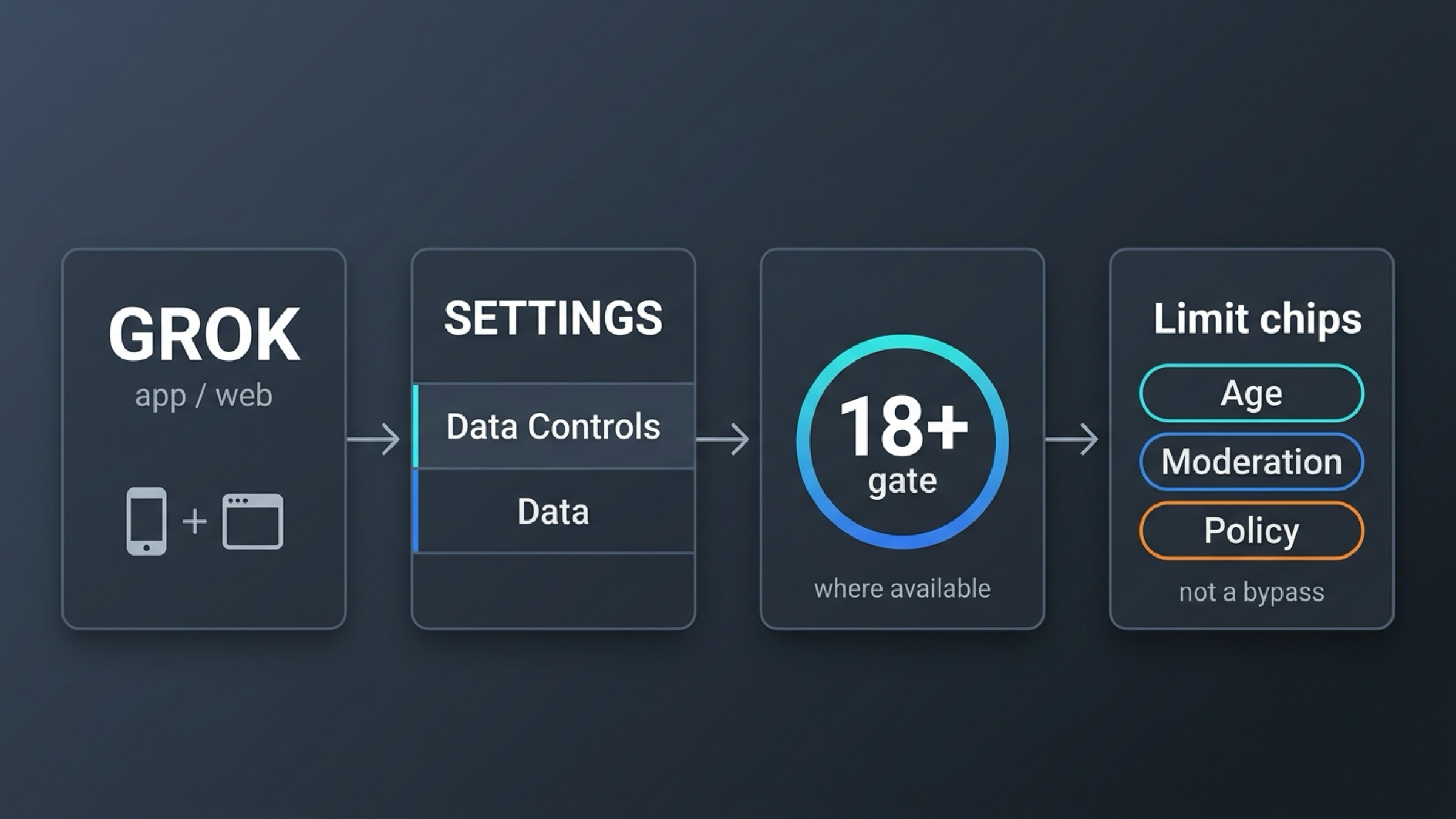 Standalone Grok data-control path with web and app settings flowing into an 18+ gate