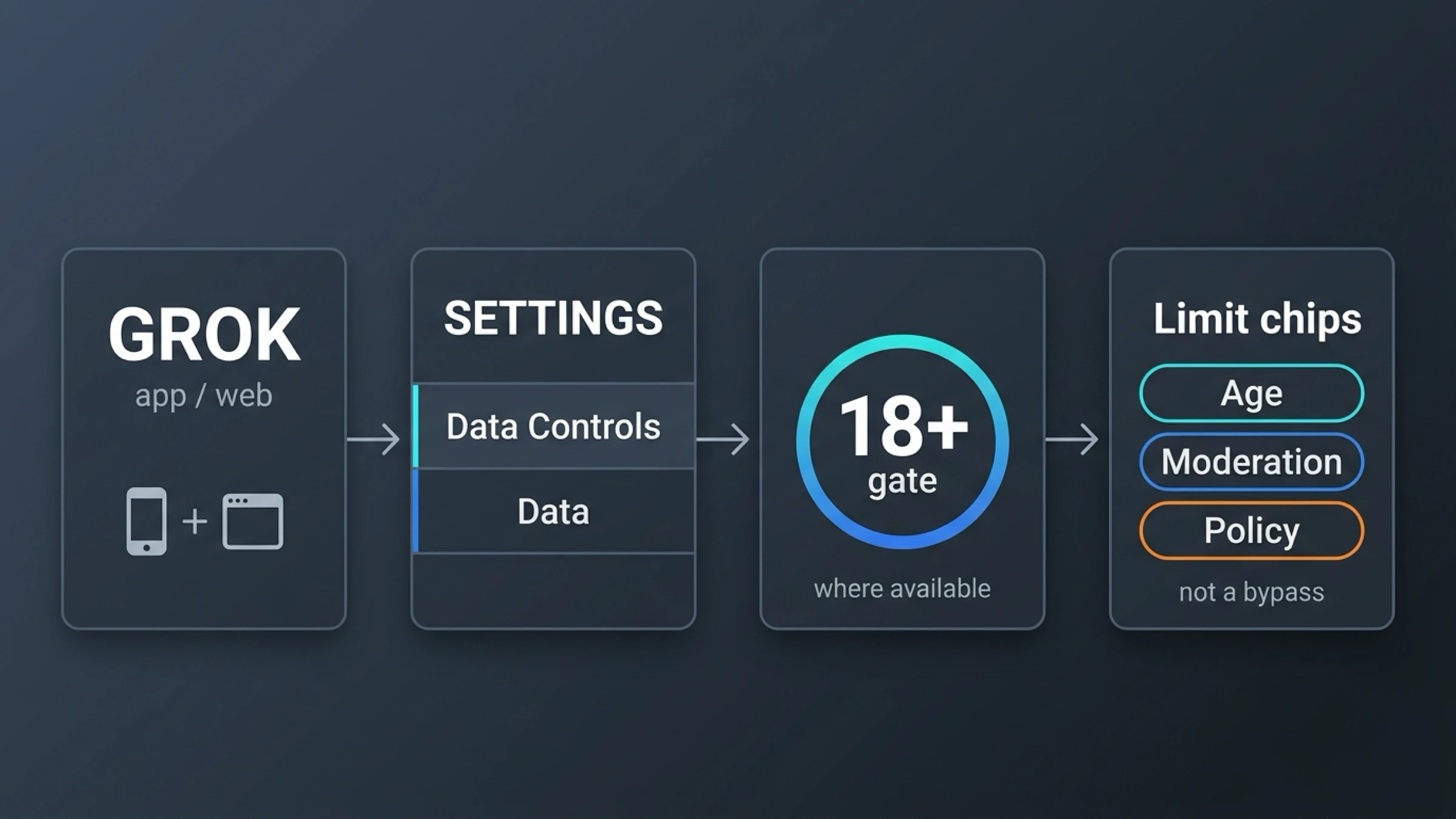 Ruta actual de controles en standalone Grok que desemboca en el punto de control 18+